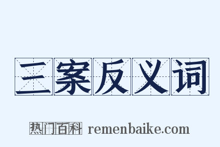 三案反义词是什么意思的图片